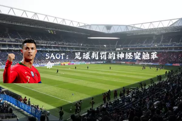 SAOT:足球判罚的神经突触革命